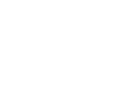 Uzbekistan League Logo